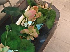 -客家班·客家菜(嘉禾金铂店)