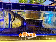 -川骄海鲜自助(河东店)