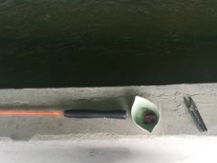 -会江钓鱼钓虾烧烤场