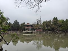 -莲池书院博物馆