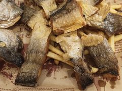 -欧记·龙城港(欣都店)
