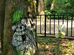 -上海共青森林公园