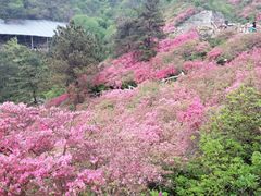 -木兰云雾山