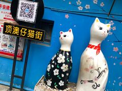 -猫咪博物馆(顶澳仔猫街店)