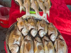 -车头老二大排档(金城步行街店)