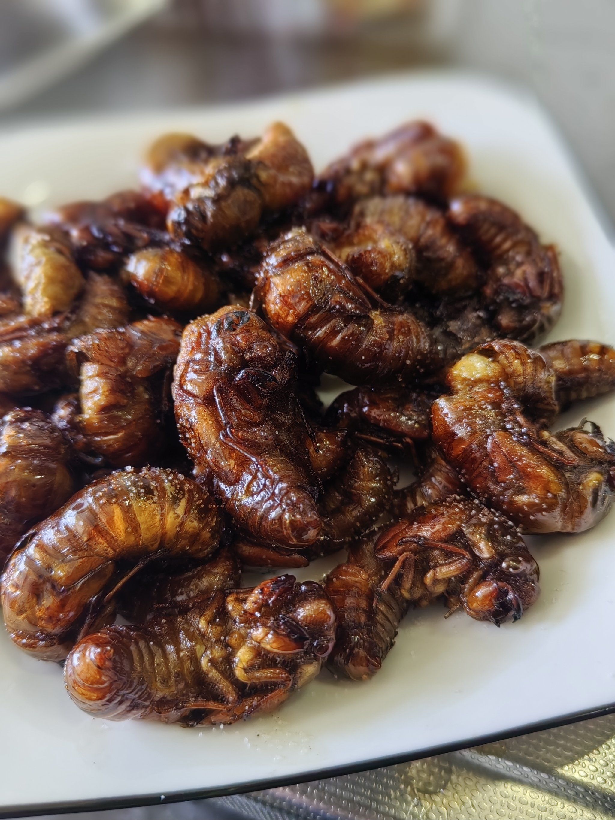 炸金蝉,敢吃否?