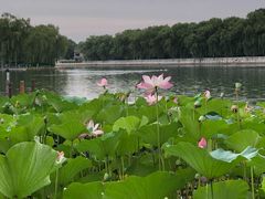 -后海16号·北京私房菜