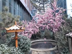 -悦隆庄温泉度假酒店