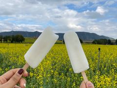 -光明小镇欢乐田园