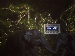 -老伴豆花(麦士威熟食中心店)