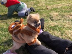 -艾溪湖湿地公园