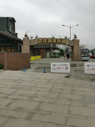 -恐龙探索乐园(磁器口店)