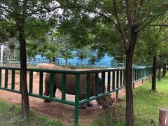 -秦皇岛野生动物园