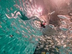 -上海潜殿潜水中心