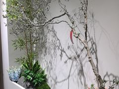 -泉·颂钵冥想·减压·疗愈SPA(前海店)