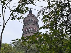 -顺峰山公园