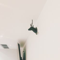 -Wake me容颜管理中心