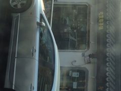 -志龙皇冠吃货椰子铺