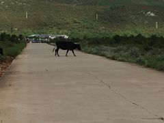 -唱客美食KTV量贩(日新路店)