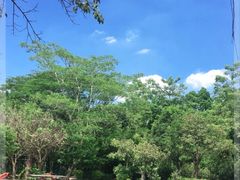 -滴水岩森林公园