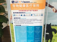 -瑞鹏宠物医院·眼科·皮肤·中兽医(大悦城分院)