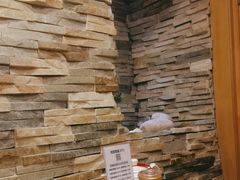 -桃屋日本料理(清华科技园店)