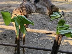 -北京野生动物园