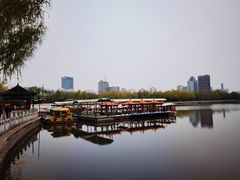 -莲花池公园