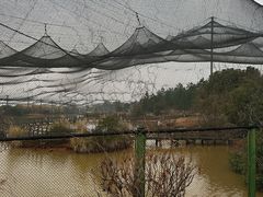 -鄱阳湖国家湿地公园