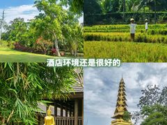 -西双版纳洲际度假酒店兰吧