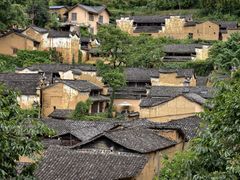 -杨家堂村