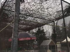 -陕西广播电视塔