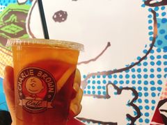 -史努比缤纷世界