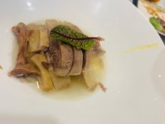-丁老爷子苏香圆