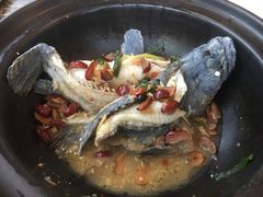 酵素龙虎斑-真浪大家乐海鲜餐馆