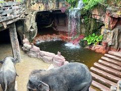 -长鹿旅游休博园