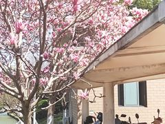 -泗泾镇社区文化活动中心