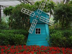 -南宫五洲植物乐园