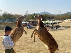 -盈香心动乐园