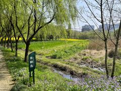 -长兴太湖图影湿地文化园