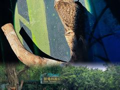 -广州长隆野生动物世界