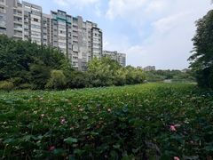 -成都工业学院(郫都校区)