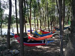 -龙湖东院农庄(乡间小路店)