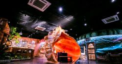 -Zoolung Zoolung动物主题公园(海信广场店)