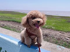 -南汇嘴观海公园