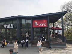 -紫金山山顶公园