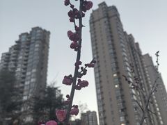 -渭滨公园