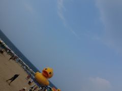 -中国第一滩