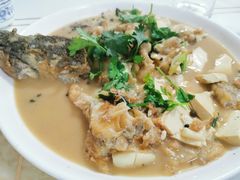 -煲来饱去冷水鱼
