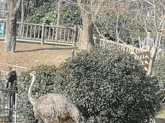 -无锡动物园·太湖欢乐园